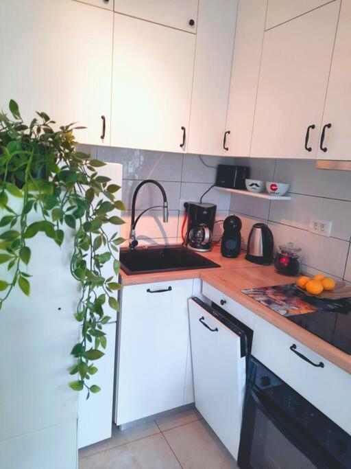 Apartman Nane Solin Ngoại thất bức ảnh