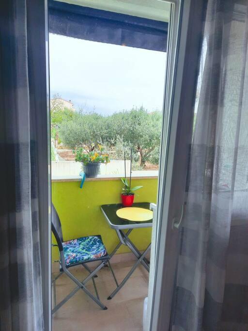 Apartman Nane Solin Ngoại thất bức ảnh